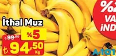 İTHAL MUZ KG İTHAL MUZ KG